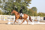 SBM_01631