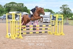 BPP_8083