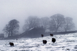 Stanage House Farm, Peak District