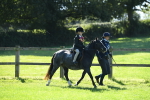SBM_39559