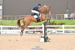 Cls 30 Foxhunter portfolio