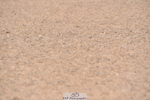 230720A-090812-01303