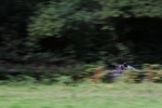 FOM_0728