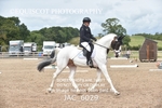 NOVICE 6 portfolio
