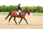 SBM_006528