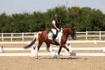 SBM_005619