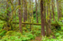 Juneau and Humpbacked Whales-246
