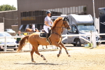 SBM_001415