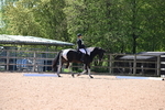 WJ6_8322