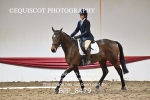 BPP_8479