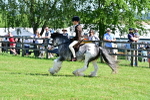 SBM_12243