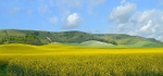 Rolling Downs - Iford