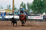 3HRodeo7-12-24_LJD_3HR4575_LJD