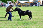 SBM_03468