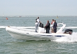 090510 STINGHER RIB IMG_0812
