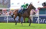Race 2 14.25pm Tattersalls Acomb Stakes portfolio