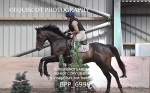 BPP_6998