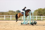 SBM_03899