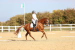 SBM_009149