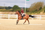 SBM_009638