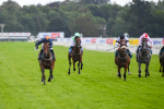 290723-Race 4-Blue Prince-0656