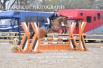 BPP_1443