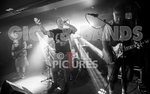 Peter and the Test Tube Babies-54