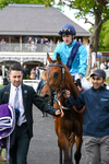 150526-Race 4-Love A Giggle-7849