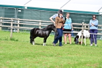 SBM_03643