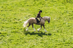 Ennerdale Show-20
