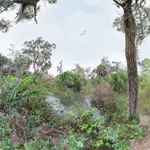 Sanctuary, Spanish Point