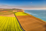 z3394 Colours of Spring, Atherfield