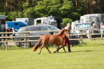 SBM_01770