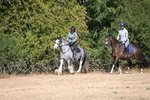WJ6_7789