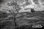 Portfolio 19