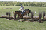 BVHT 140517  IXC -871