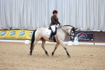 SBM_000243