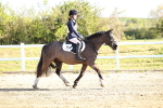 SBM_000229