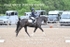 BPP_9366