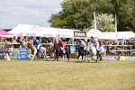 SBM_16574
