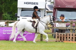 SBM_09526