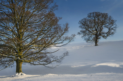 Yorkshire Dales portfolio