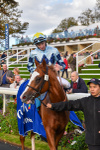 141023-Race 2-Whiskey Pete-0816