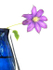 CLEMATIS IN BLUE VASE