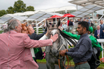 210824-Race 6-Star Of Lady M-5850