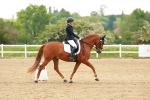 SBM_006281