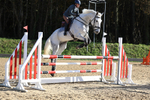 Class 7: Senior Newcomers/1.10m open portfolio