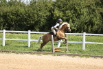 SBM_001225