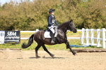 SBM_000731