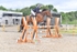 BPP_1736